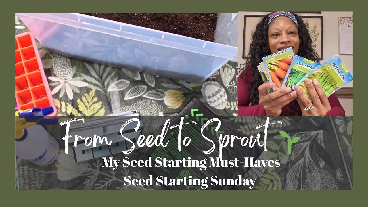 Seed Starting Essentials | My Must-Haves for Starting Seeds at Home#beginnergardening #seedstarting 