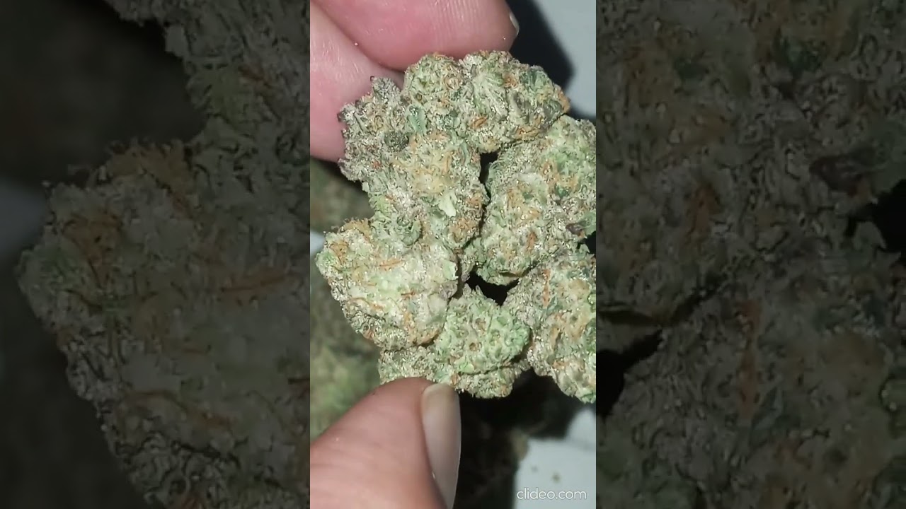 GrowPro Garlic Kush 14G