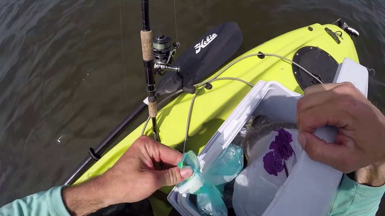 Spring Fluke/Flounder Fishing for a Kidney
