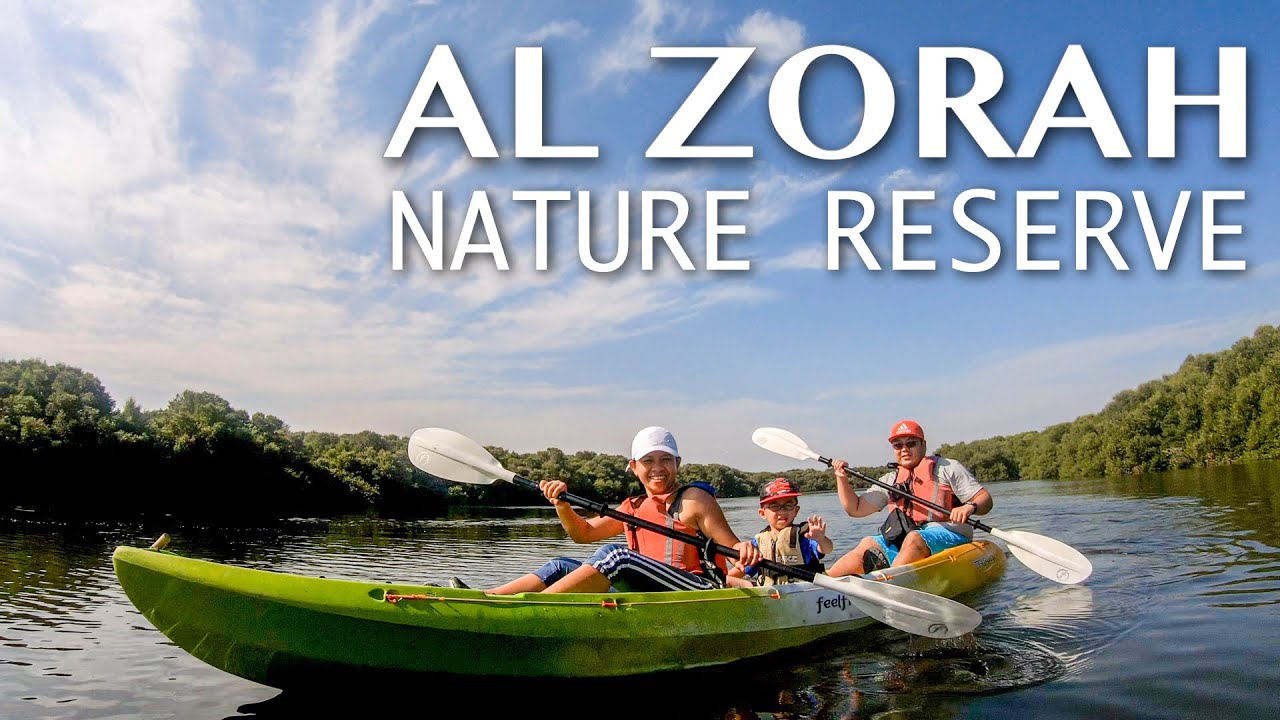Mangrove Kayak Tour at AL ZORAH NATURE RESERVE || QUEST FOR ADVENTURE || Ajman, UAE