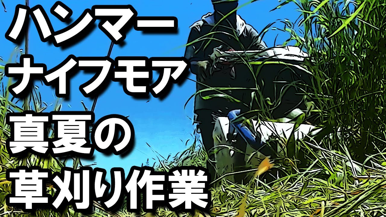 ハンマーナイフモア・真夏の草刈り　ISEKIアグリ・HR665