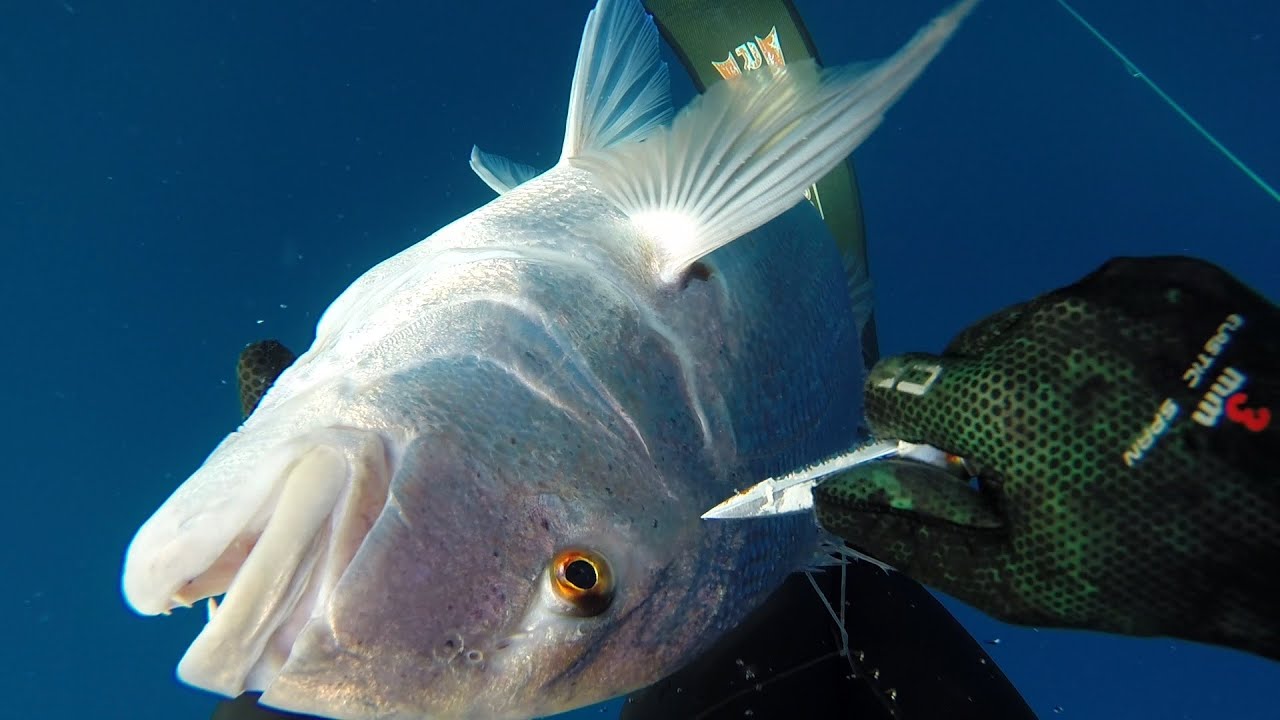 Pesca submarina profunda con Manuel Martínez