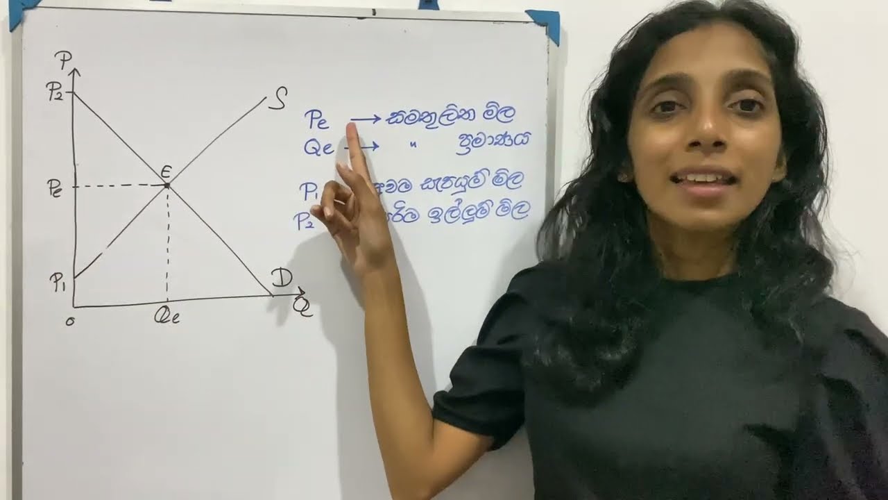 පාරිභෝගික අතිරික්තය සහ නිෂ්පාදන අතිරික්තය - Consumer Surplus & Producer Surplus