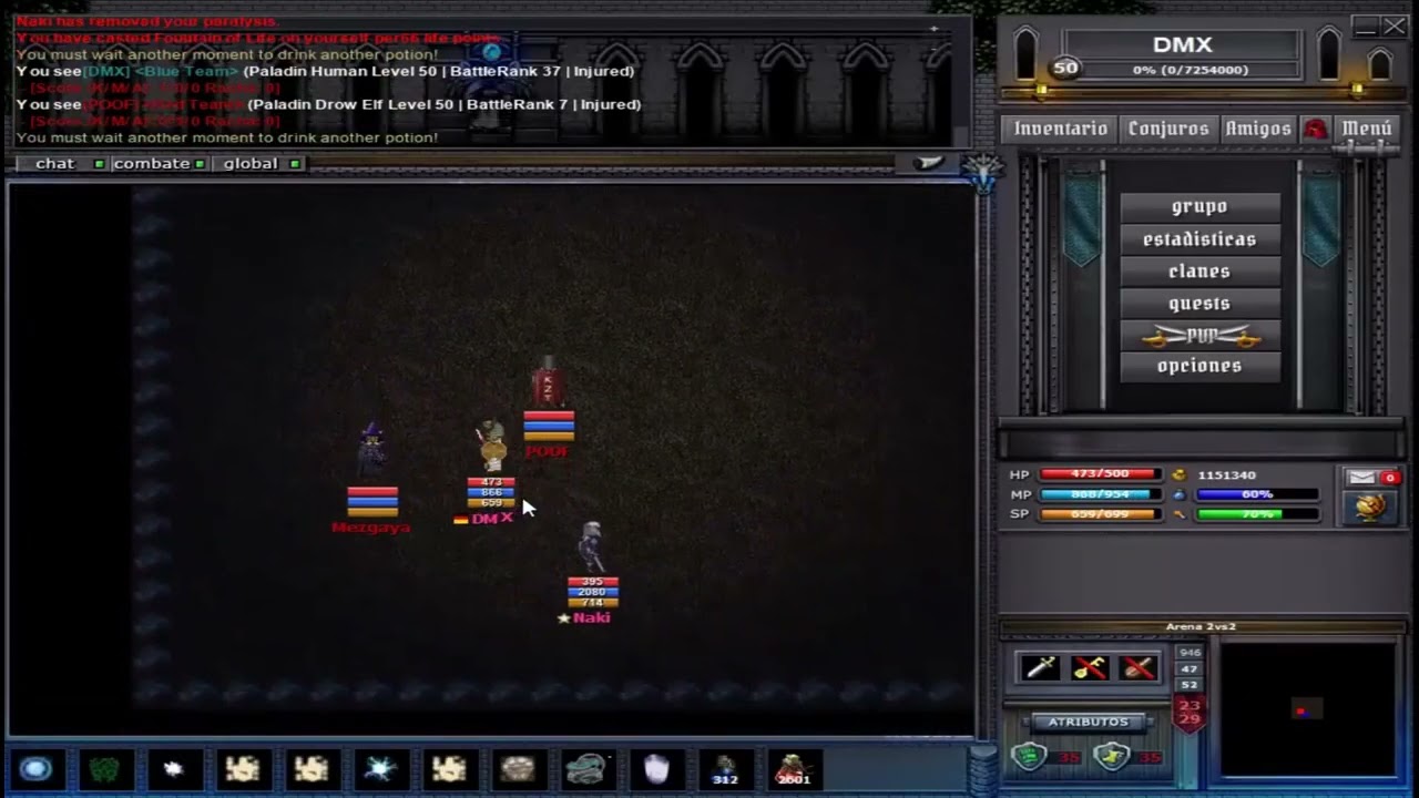 JUBILADO CON LA MINIMA JUGANDO 2V2 EN IAO POR EL PAN