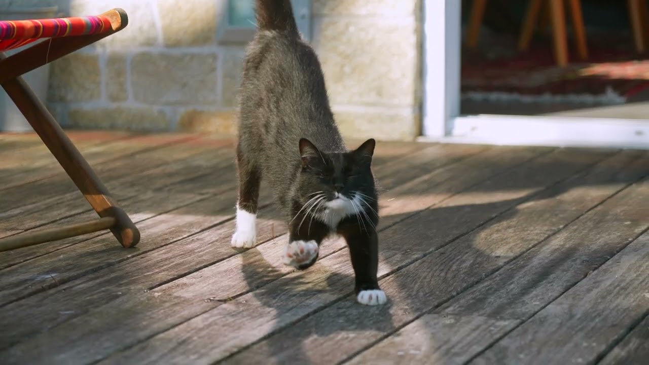 P&eacute;tronille - Demeure familiale au c&oelig;ur du Golfe du Morbihan