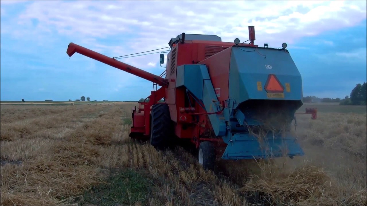 ŻNIWA 2019 Bizon