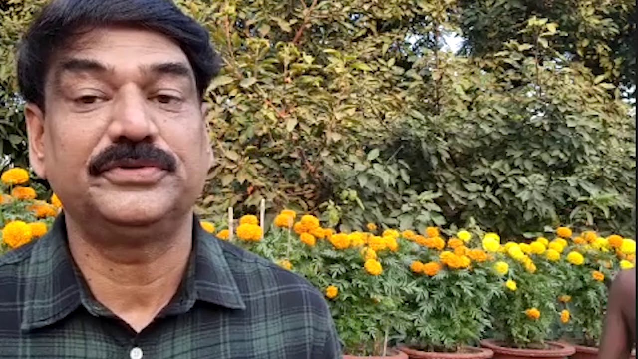 Documentary on Social Harmony In India.
