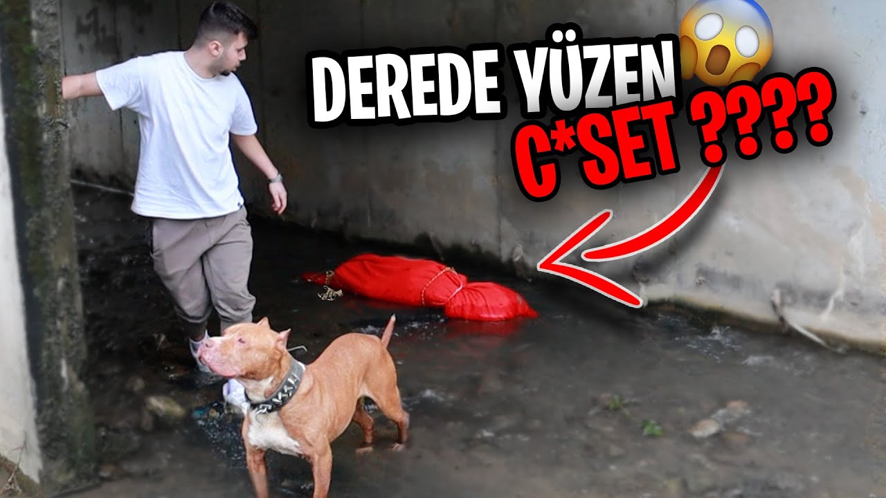 BOYKAYLA DEREDE Y&Uuml;ZEN C*SET BULDUK! (&ccedil;ıkarttık)