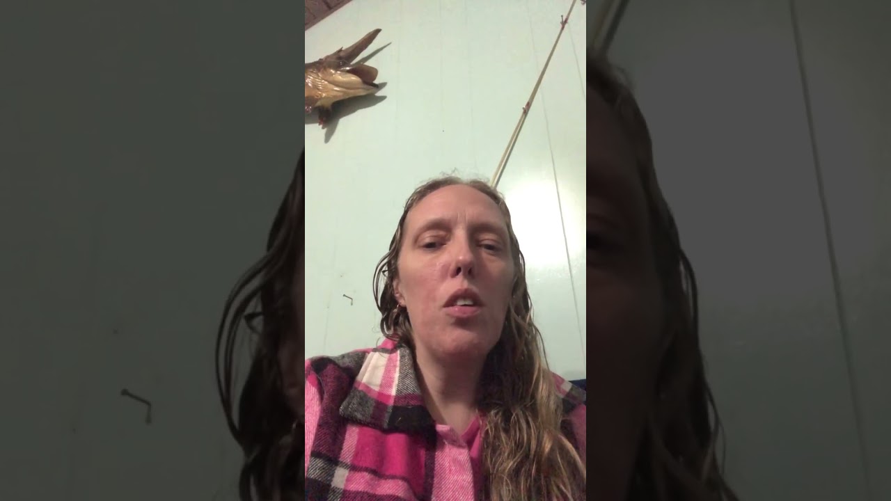 Close animal encounters 