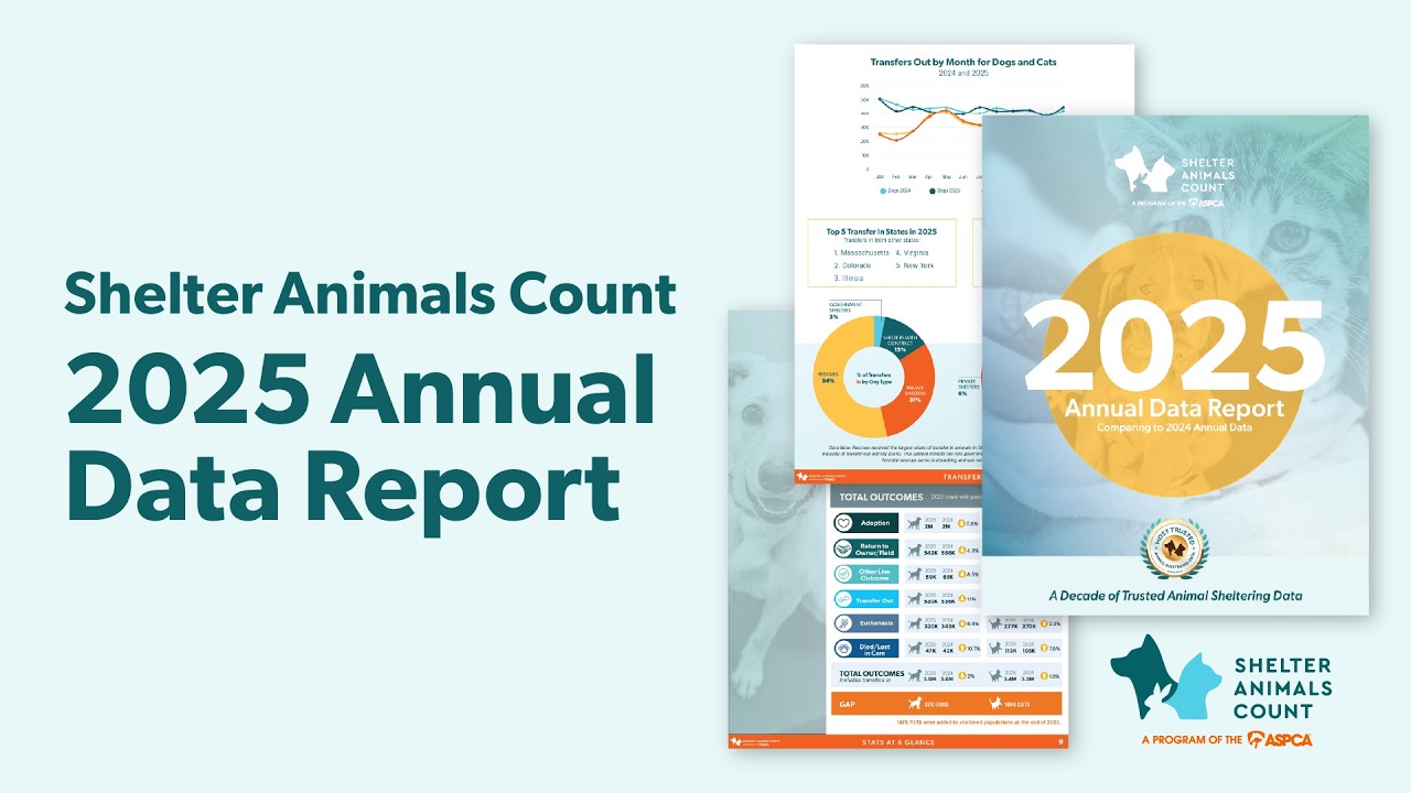 Shelter Animals Count 2025 Annual Data Report