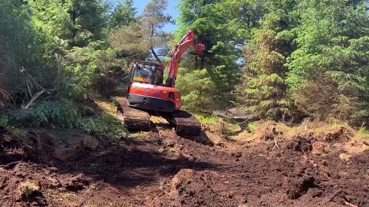 Removing Large Trees with Dymax Tree Shear on Kubota KX080-4 | Treeclear UK