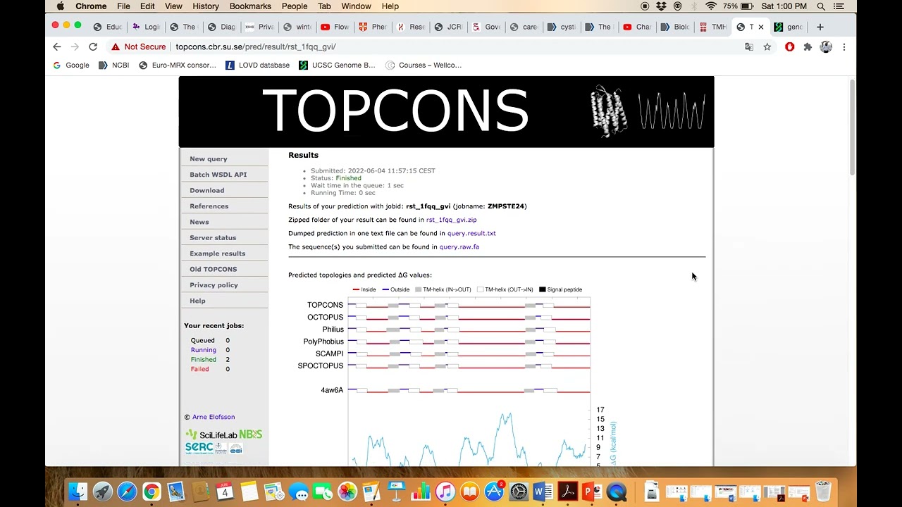 TOPCONS, Predicting Transmembrane domain in Protein