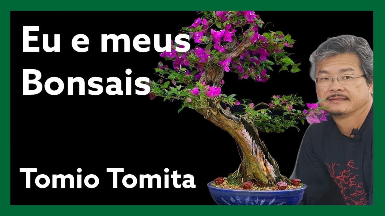 Tomio Tomita e seu viveiro Bonsai na Bonsai Brasil