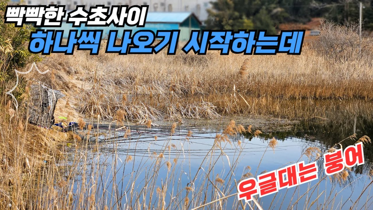 빡빡한 수초 사이 우글대는 붕어들이 하나씩 나오기 시작하는데, 에코플로우 글래시어 3-in-1 휴대용 냉장고