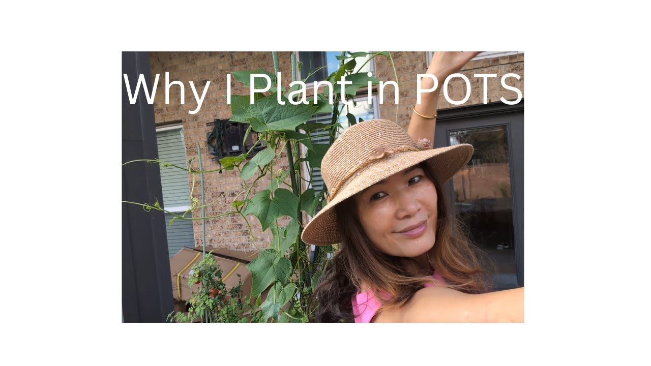 How Patio Container Gardening Changed Everything (Food, Beauty & Ducks!)