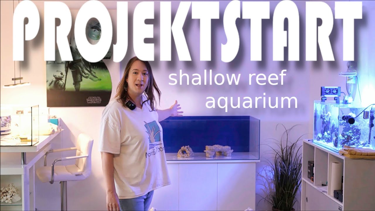 Shallow Reef Aquarium (240L) startet endlich! | NordicMoor | [01/2023]