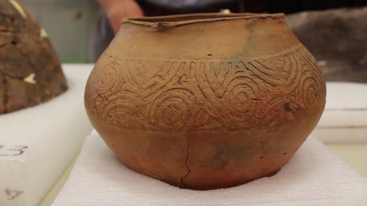 Southeastern Pottery with Dr  Neill J. Wallis Florida Museum