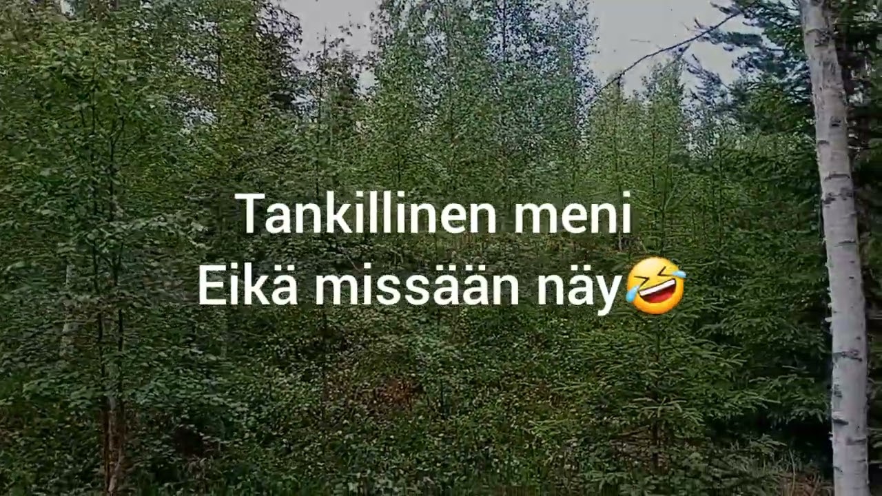 taimikon raivaus . Husqvarna 555 fxt.  ammatti raivooja muttei raivaaja