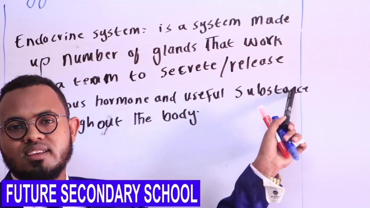 BIOLOGY Form 2// Chapter 5.3 Sensitivity and Coordination//Endocrine System(Siyaad Caalin)
