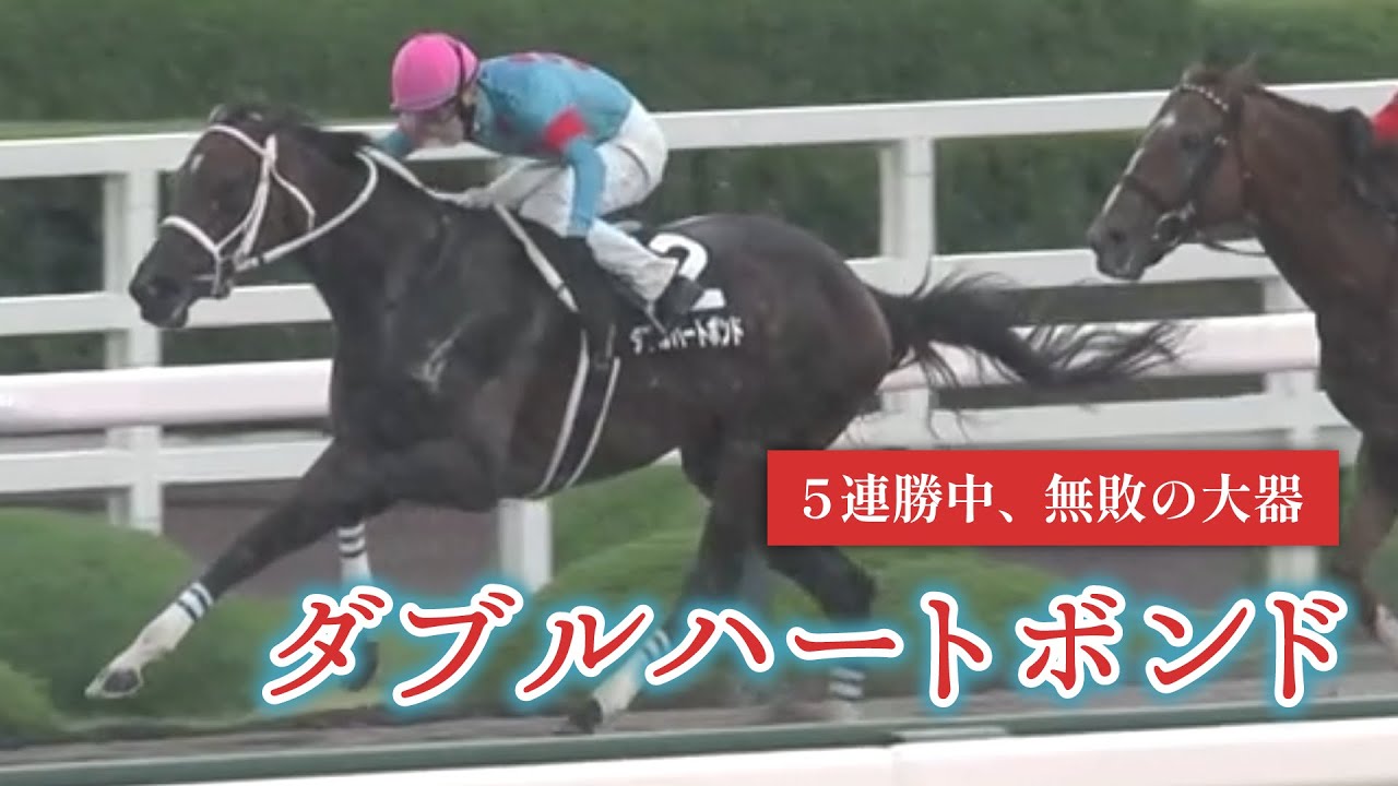【ダブルハートボンド】5戦5勝のほぼすべて【まとめ】