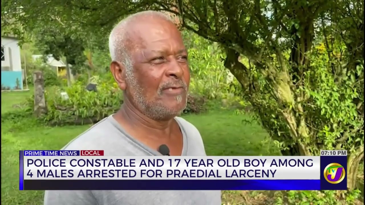 Police Constable and 17 Year Old Boy Among 4 Males Arrested for Praedial Larceny | TVJ News