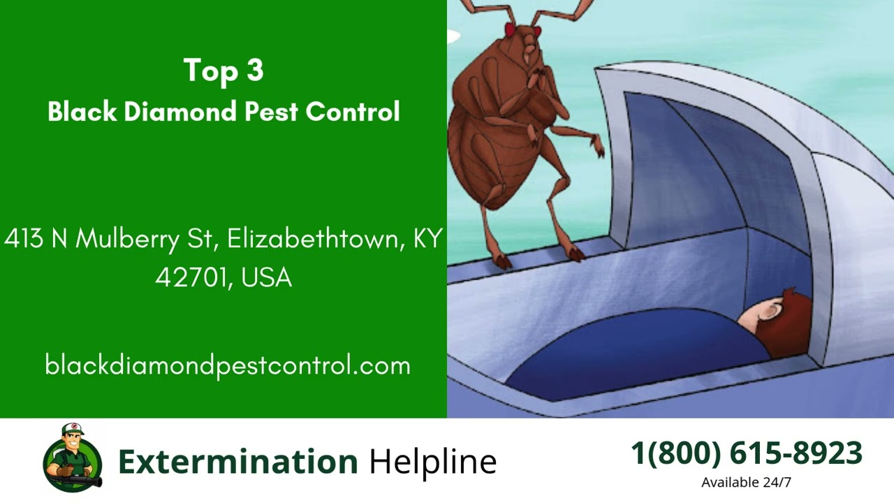 Top 3 Exterminators in Elizabethtown