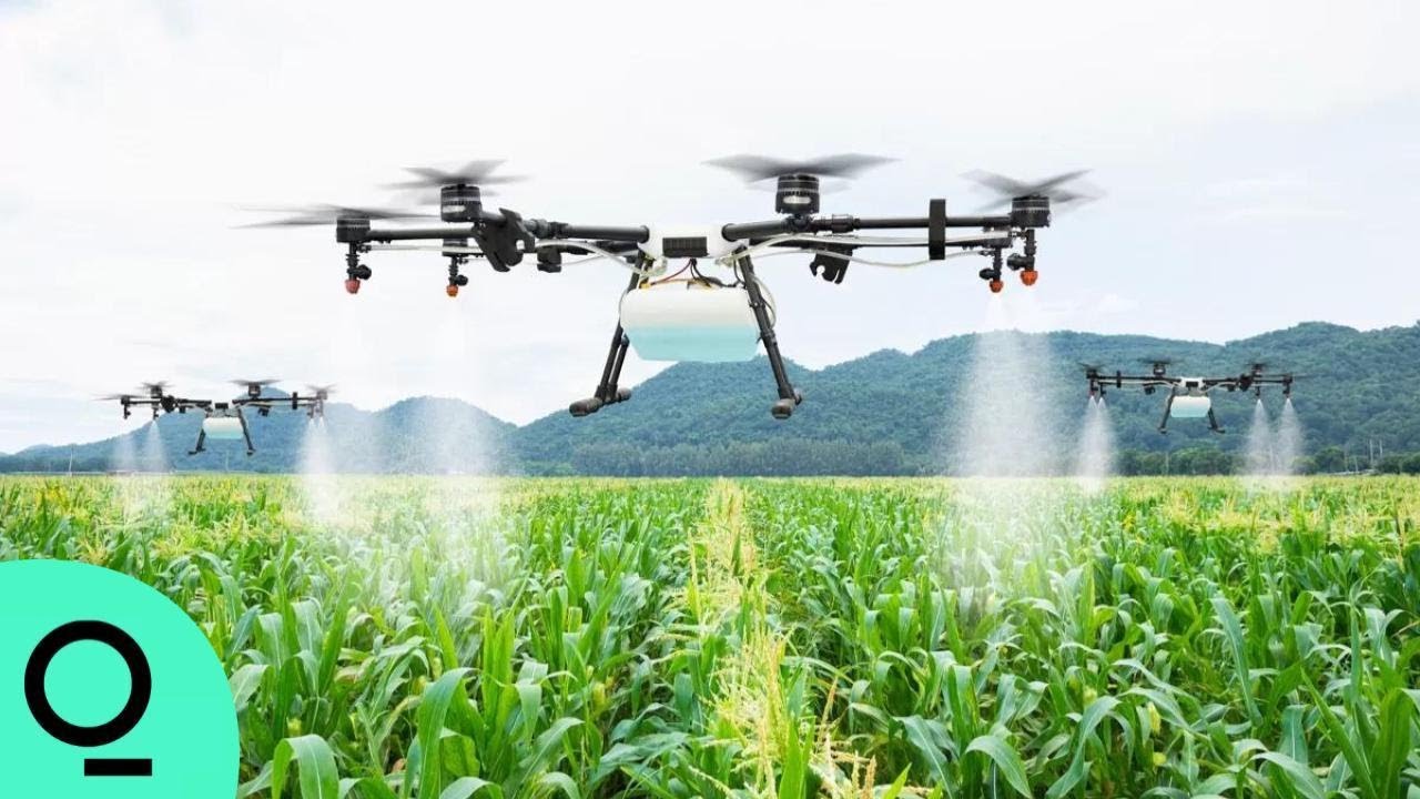 Weed-Killing AI Drones May Be the Future of Farming