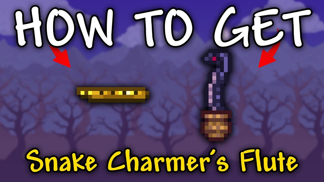 How to Get Snake Charmer's Flute in Terraria | Snake Charmer's Flute Terraria