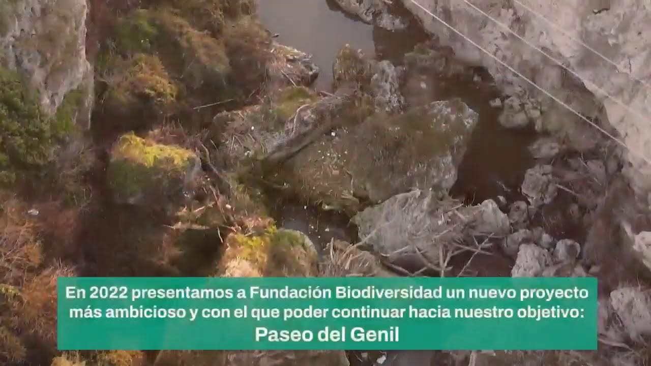 Jornada de Presentación del Proyecto Paseo del Genil