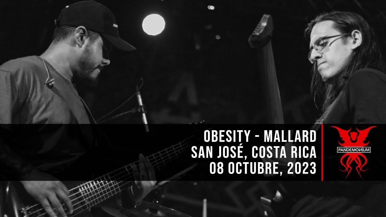 Obesity - Mallard (08 Octubre, 2023)