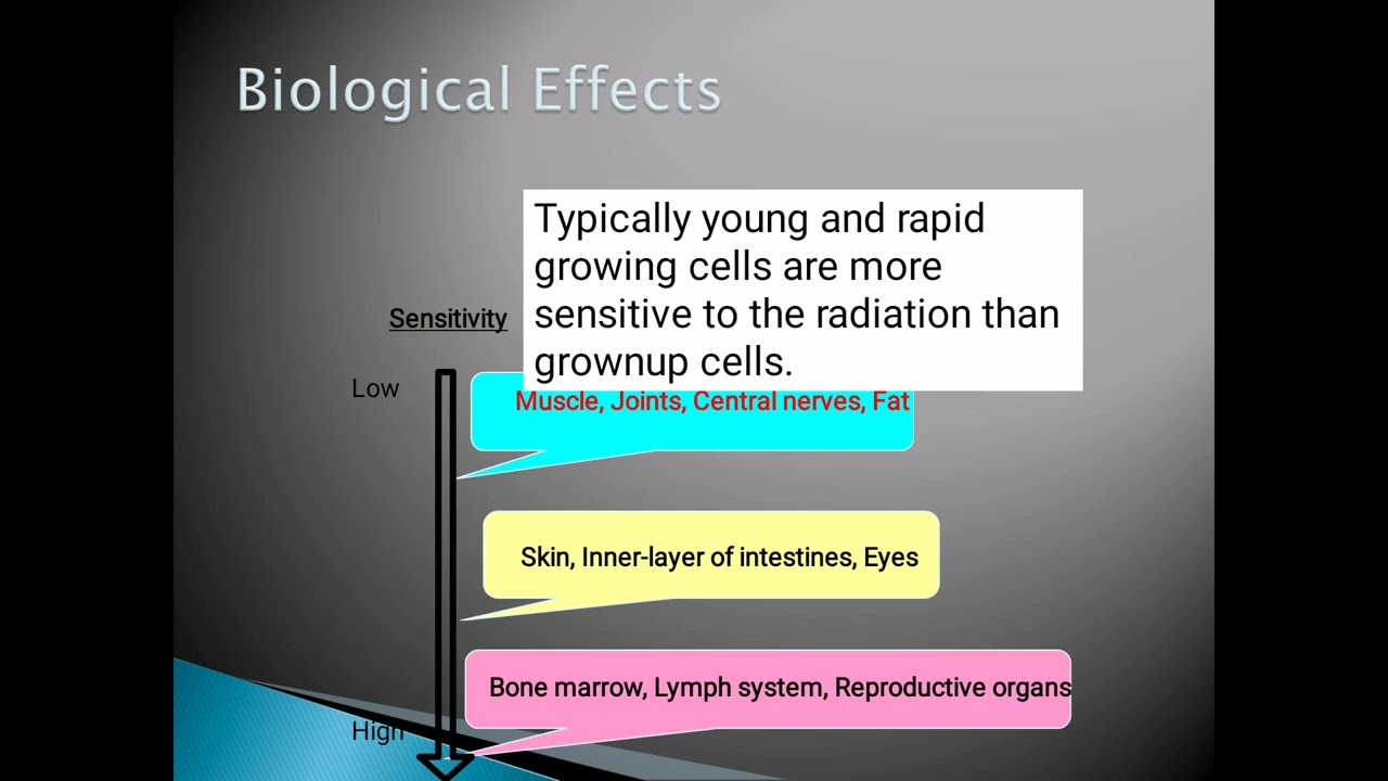 Biological effect of radiation @Ramiaelbakri