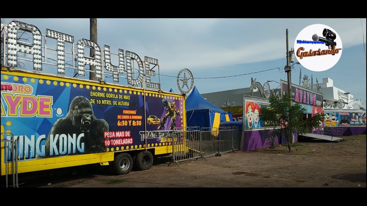 Me metí al circo, por atrás