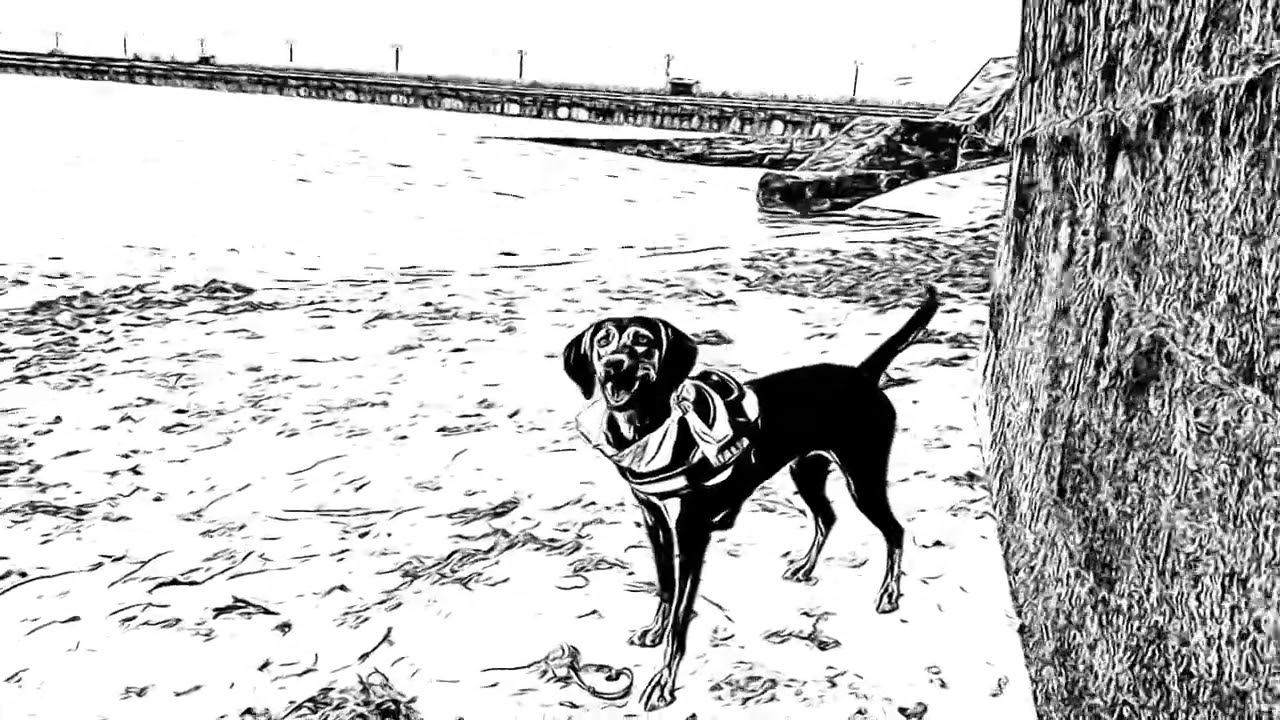 Greek Hare Hound