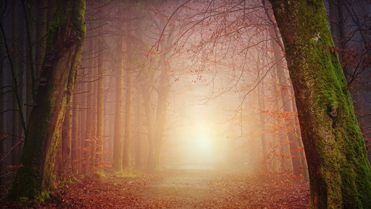 Edgar Hopp - Phoenix Rising (Royalty Free Music) (1 Hour Loop)