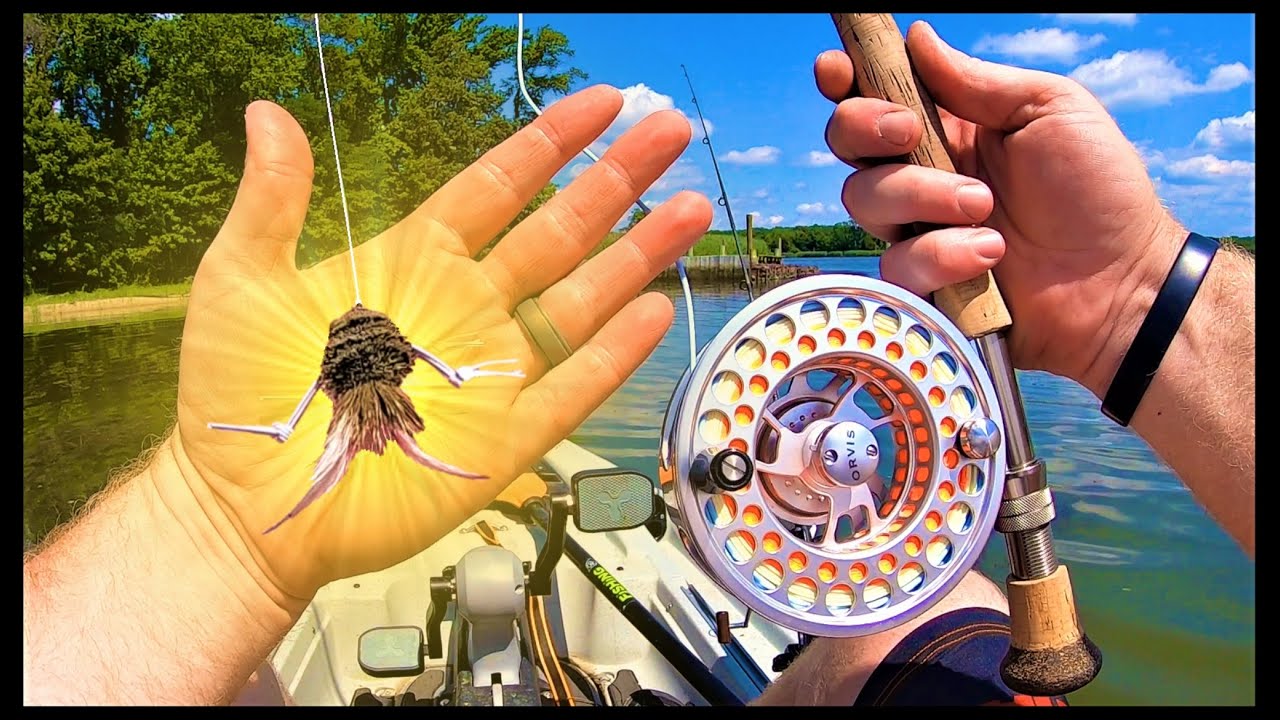 TOPWATER Fly Fishing CHALLENGE (Snakehead Fish on the Fly Rod)