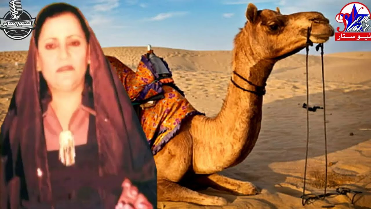فاطمه سرحان قصة نطق الجمل كامله