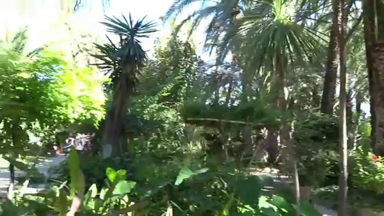 Palm Garden Elche