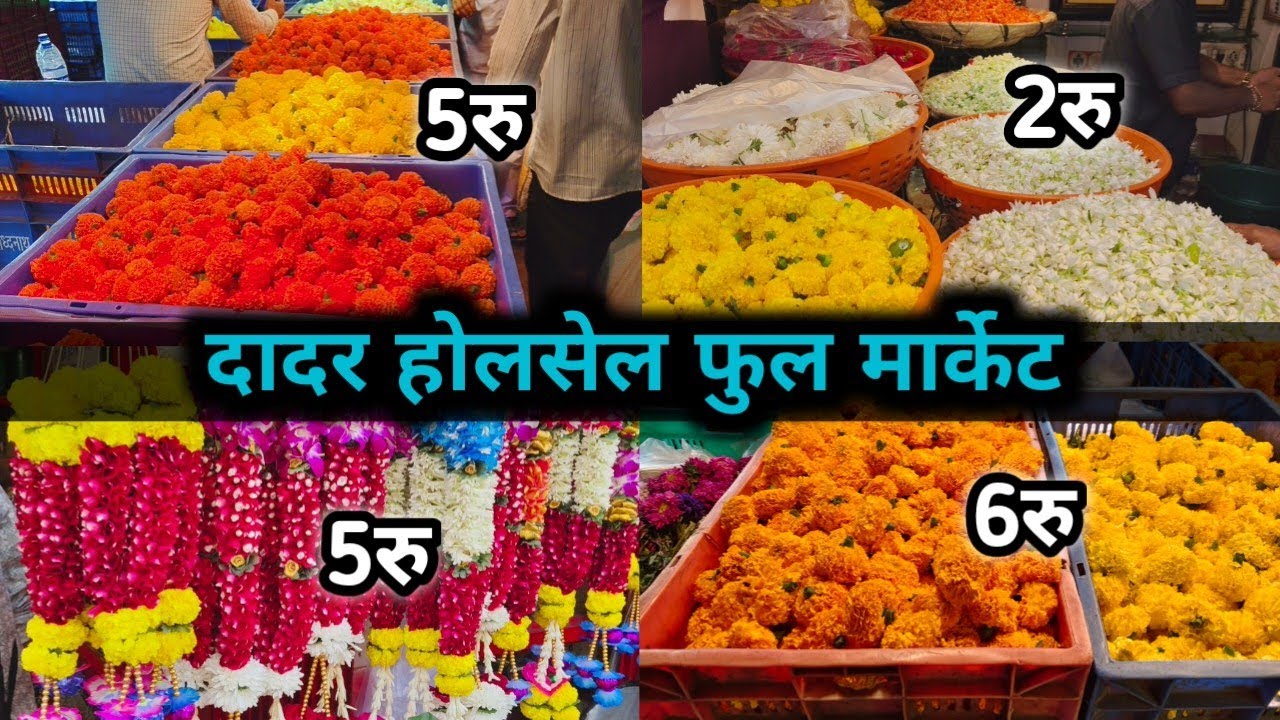 पहाटे 4 वाजता दादर फूल मार्केट | मुंबईचा रंगीबेरंगी फुल बाजार | Dadar flower market