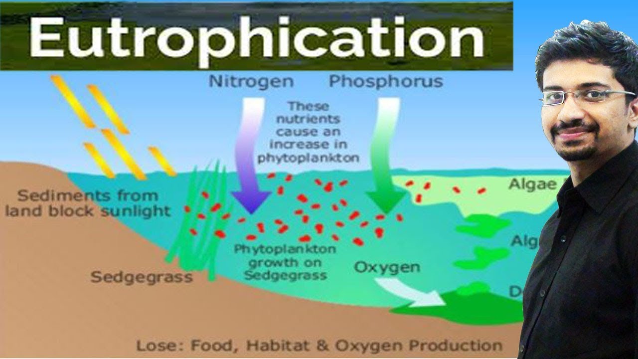 Eutrophication : Causes, Effects for UPSC IAS preparation Environment and ecology