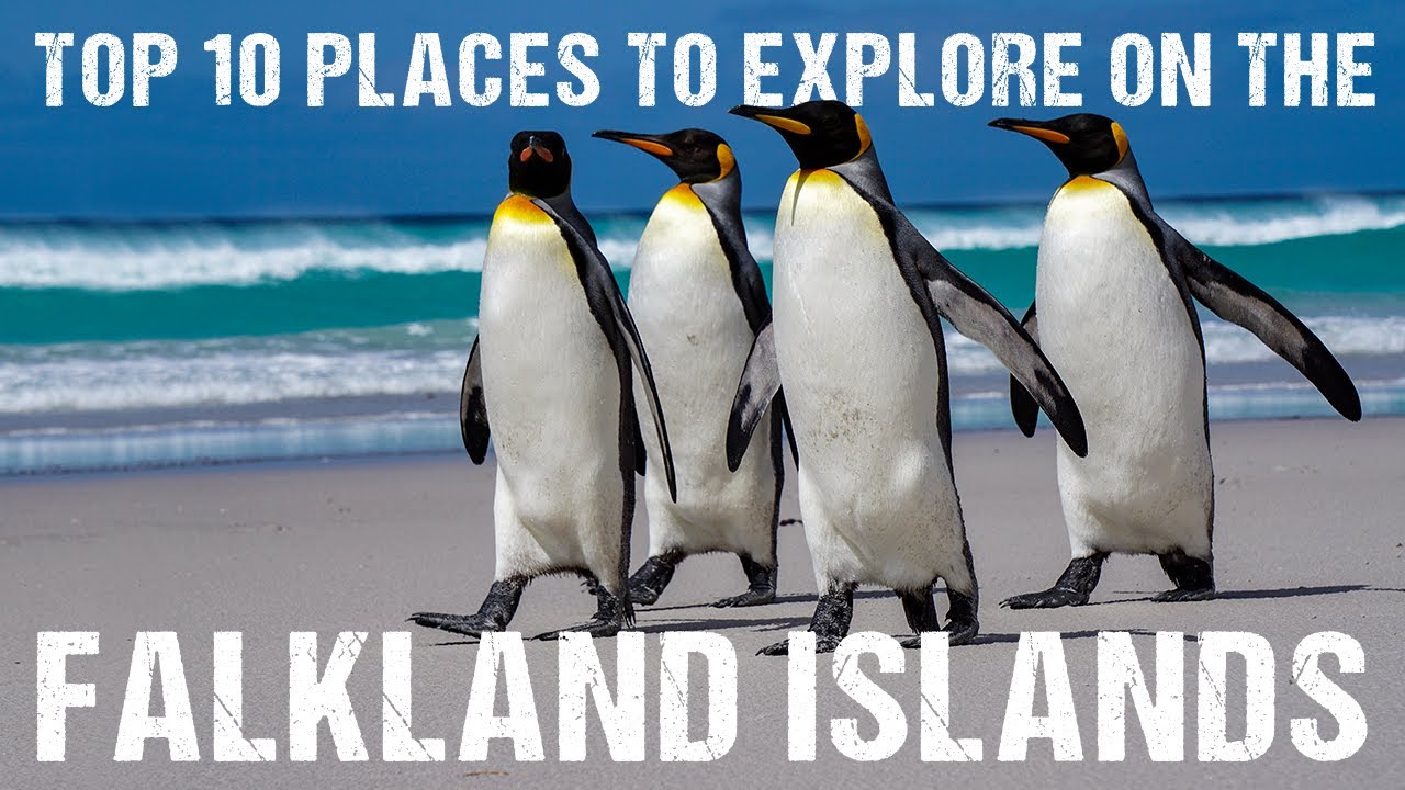 Top 10 places to explore on the Falkland Islands