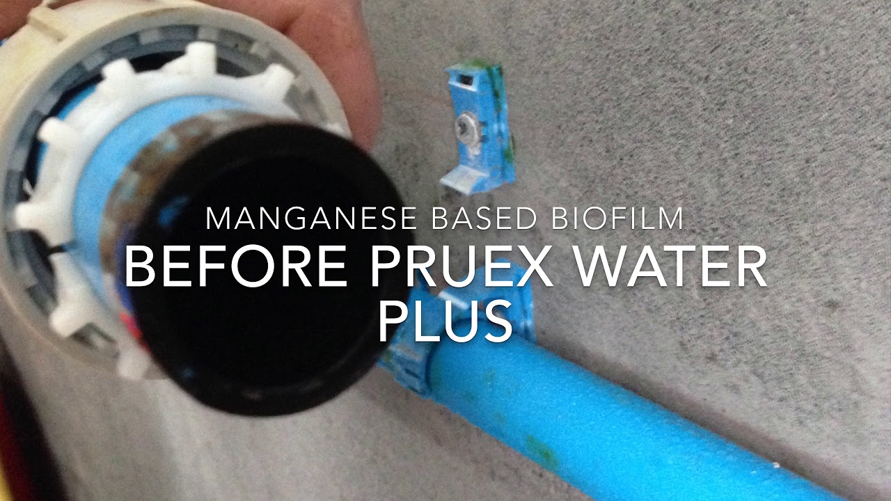 Pruex Water Plus