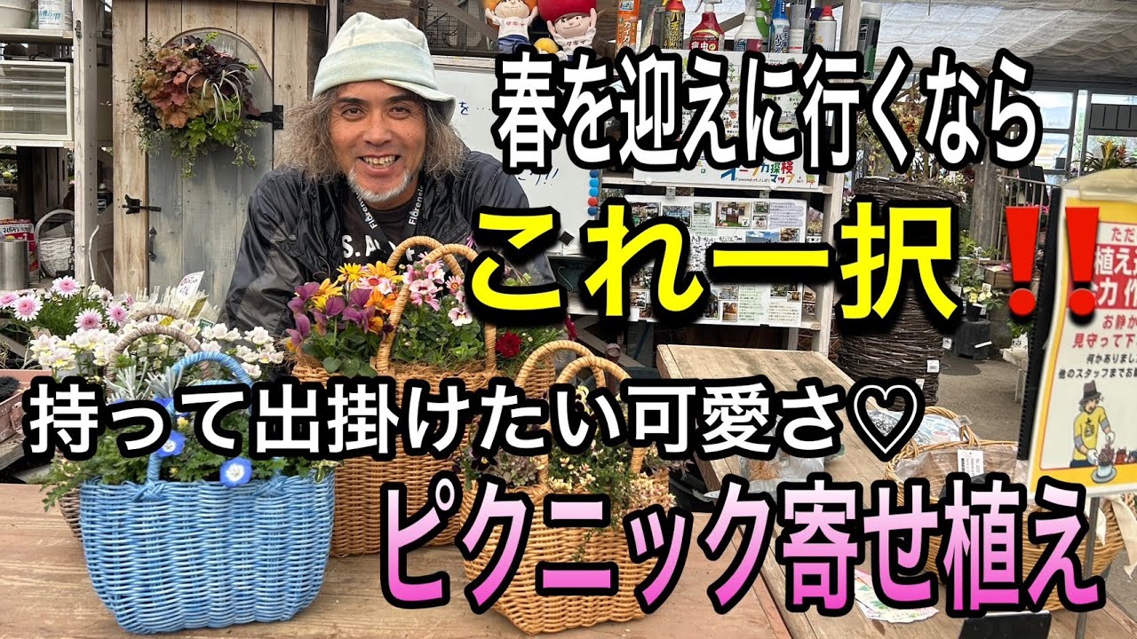 まずはお庭から！春を待たずに迎えにいこう！お花を詰め込んだピクニック気分の寄せ植え作り♫