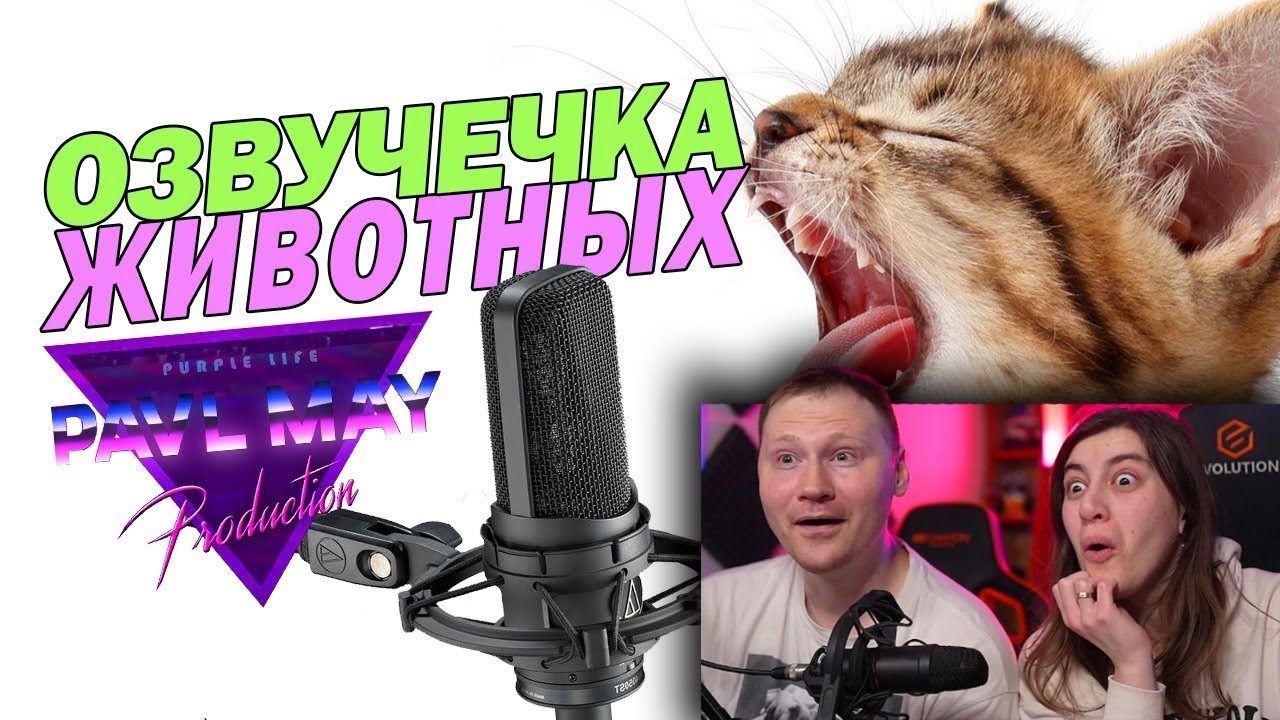 БРАТЬЯ НАШИ МЕНЬШИЕ \ ОЗВУЧЕЧКА \ РЕАКЦИЯ на PAVL MAY