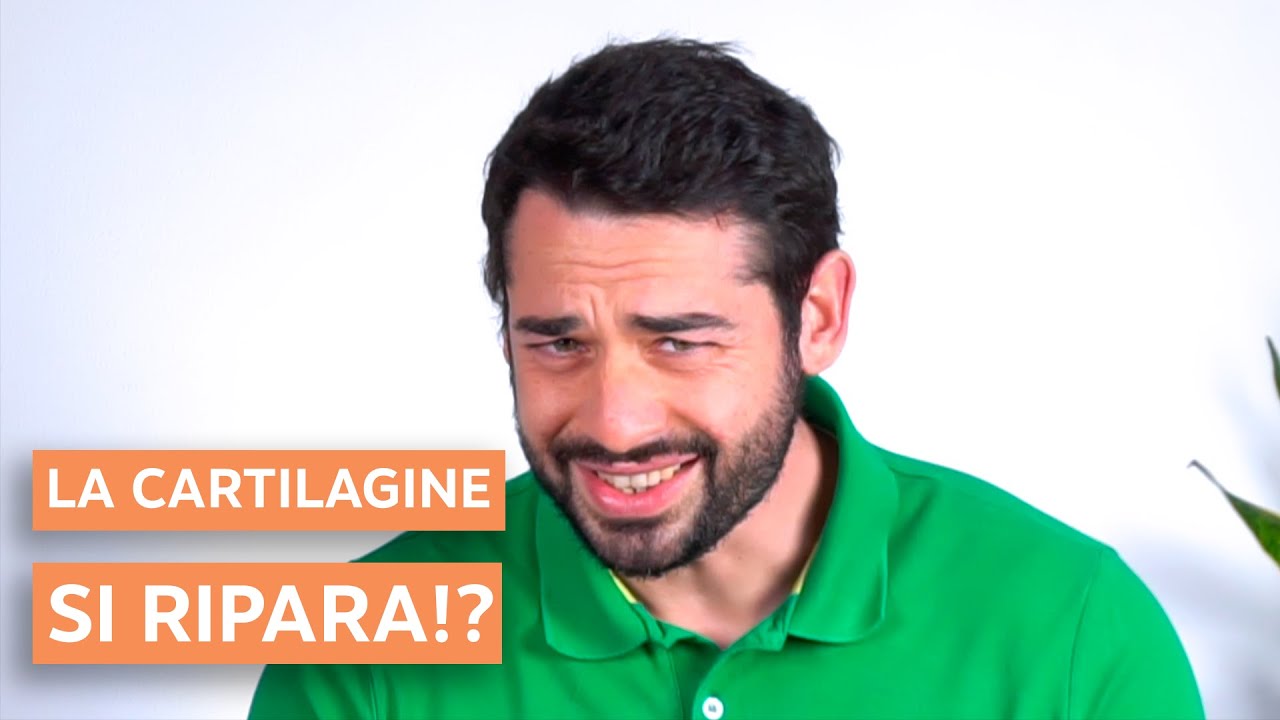 Cartilagine: può rigenerarsi? (facciamo il punto) | Manuel Pulliero