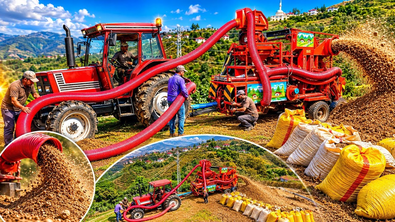 🌅🌰🚜 Köy Sabahı! Fındık Patoz Sesleriyle Güne Başladık | Vlog