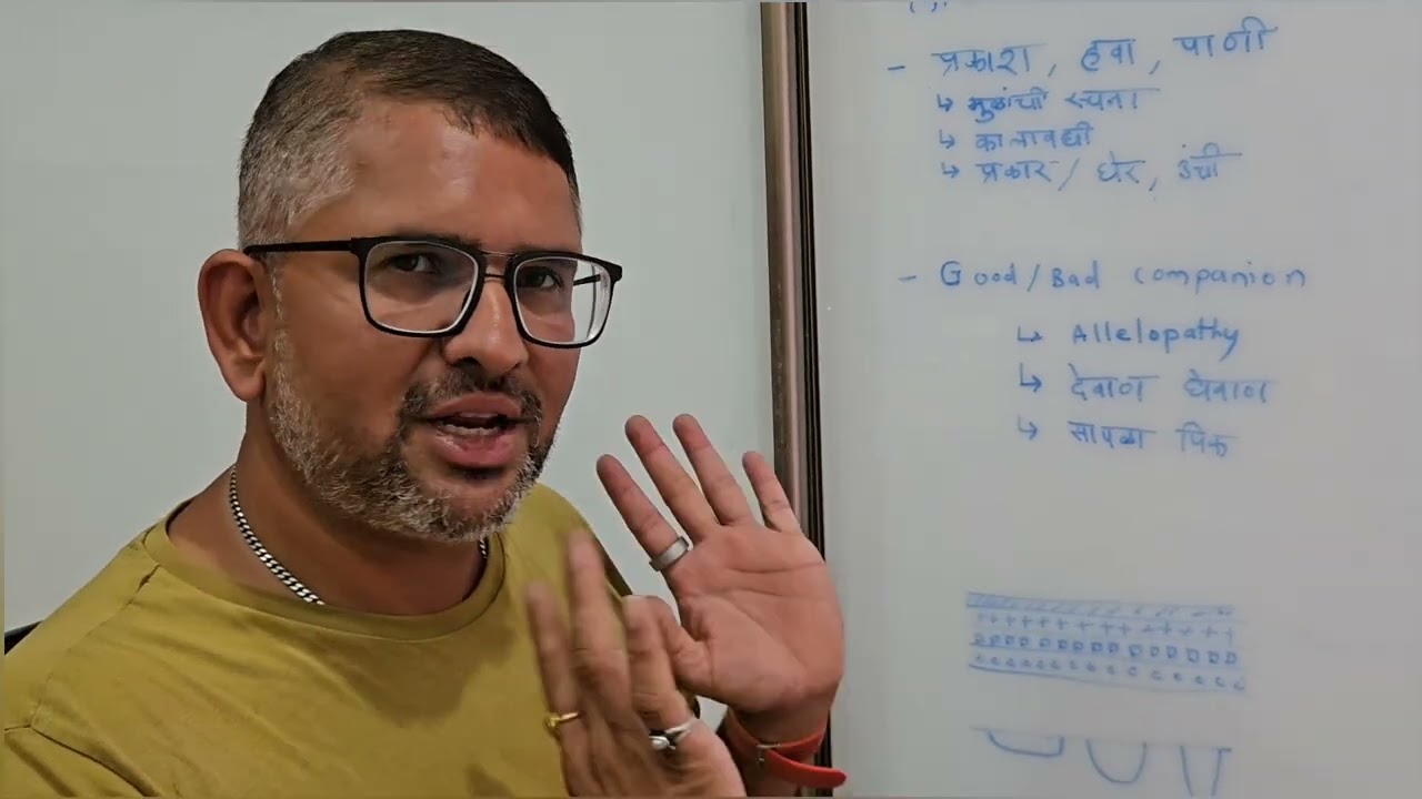 मिश्र भाजीपाला लागवड आराखडा - बहुस्तरिय भाजीपाला शेती करून वर्षभर पुरवठा कसा करायचा?