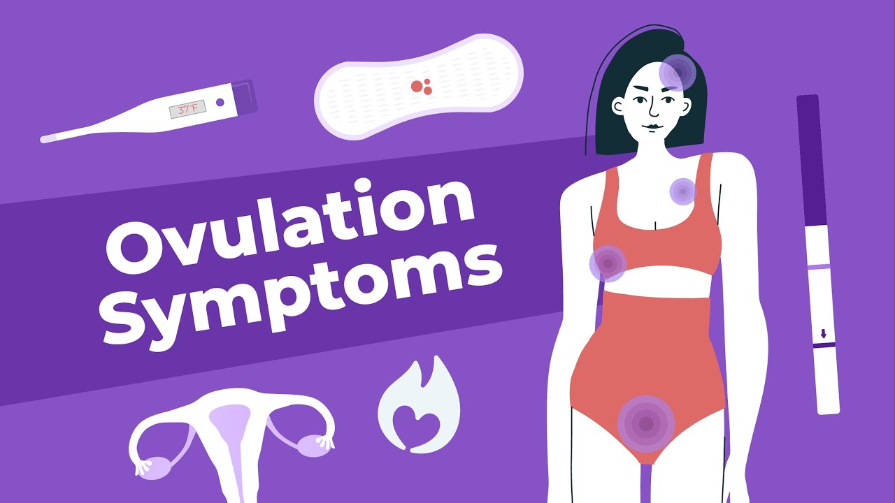 Symptoms of Ovulation | Doctor Explains