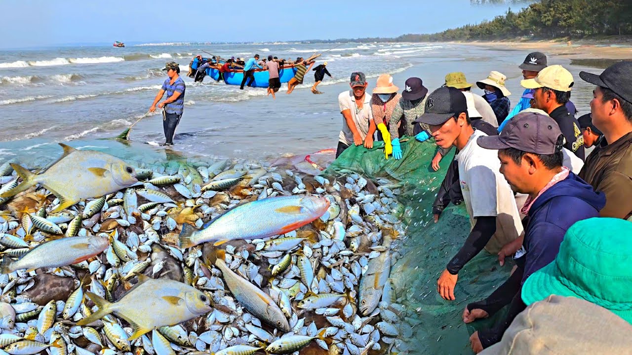 Quá Trời Là Cá Bà Con Kéo Lưới Quát - Lưới Dùng Trúng Nhiều Cá Sóc | P 597