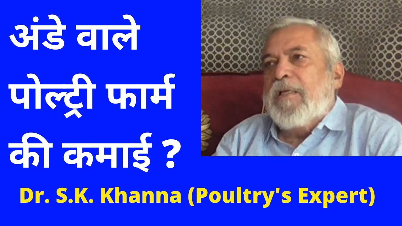 अंडे वाले पोल्ट्री फार्म की कमाई !