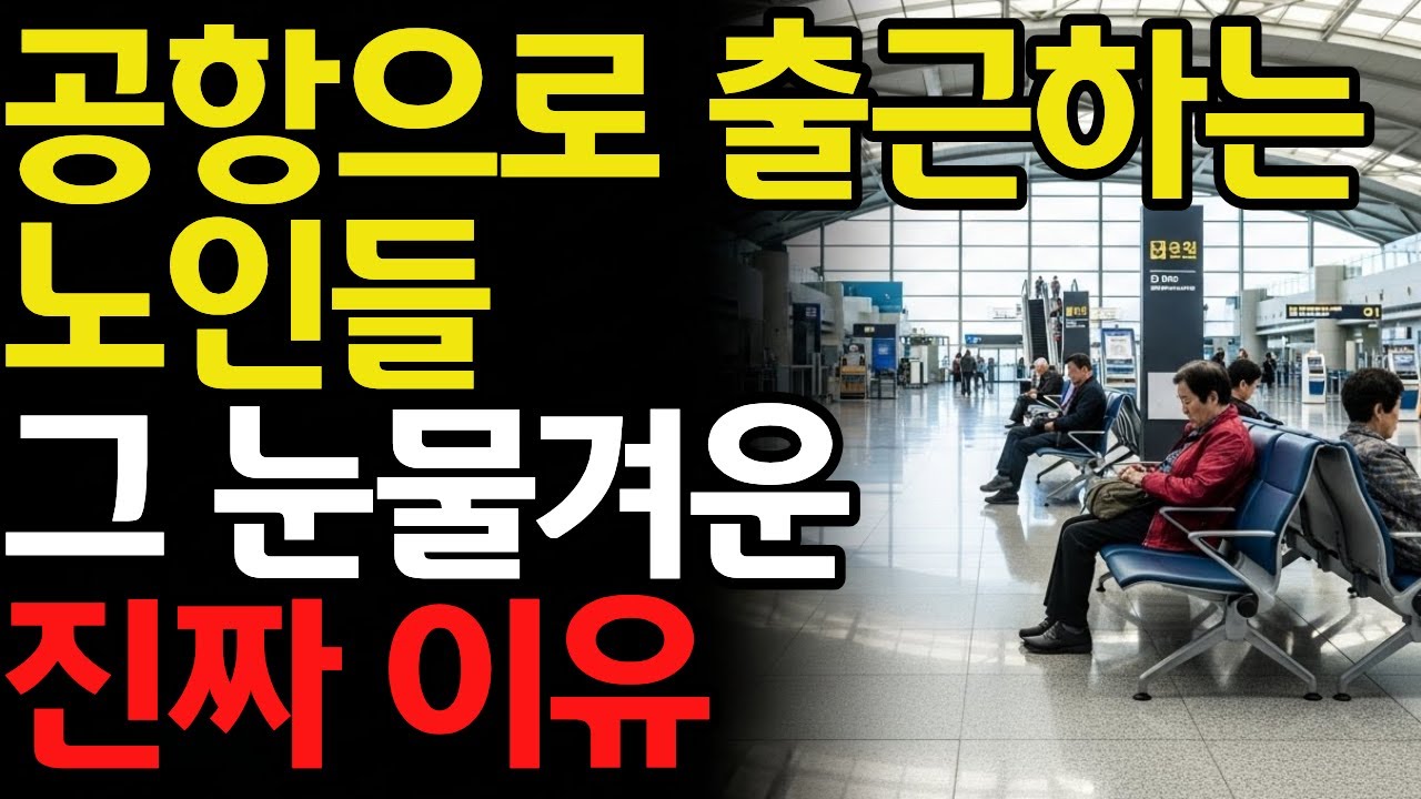 요즘 70대 어르신들이 공항으로 출근하는 진짜 이유